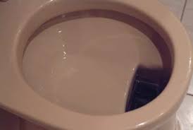 Image result for german toilet