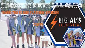 Image result for Hornets Netball Club