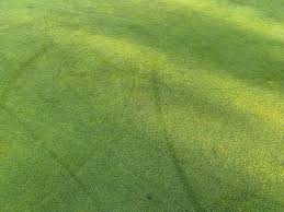 Image result for Rishton Golf Club Ltd