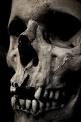 Death - Wikipedia, the free encyclopedia