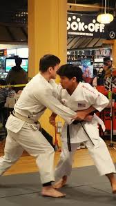 Image result for Blackpool Budokan Martial Arts