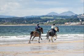 Image result for Fife Riding Club