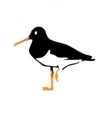 Image result for Machrihanish Golf Club