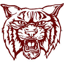 Image result for West London Wildcats