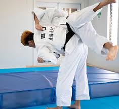 Image result for Mintlaw Judo Club
