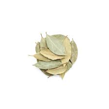 Image result for feuille-laurier-silex