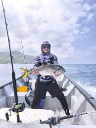 Image result for Caranx hippos