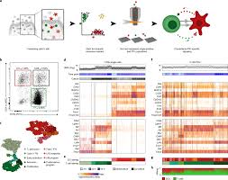 Image result for Meir Heath Cc