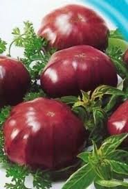 Afbeeldingsresultaat voor black elephant tomato