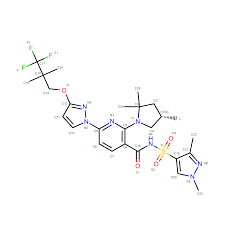 Image result for b%FD%E7ak anatomisi