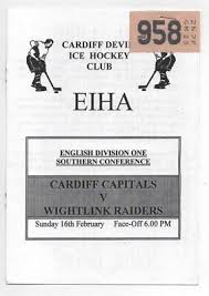 Image result for Wightlink Raiders