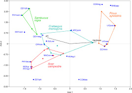 Attēlu rezultāti vaicājumam “Didymium megalosporum stalked”