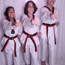 Image result for United Sport Karate