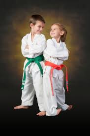 Image result for Beeches Martial Arts