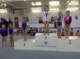 Image result for Swallows Of Helston Gym Club