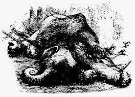 Attēlu rezultāti vaicājumam “Cribraria intricata young”