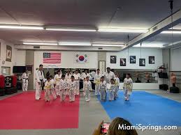 Image result for Synergy Tae Kwon Do