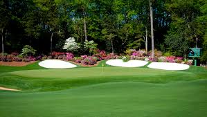 Image result for Liverpool Lizards Speedminton Club