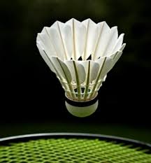 Image result for Stanway Badminton Club