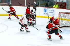 Image result for Havering Skater Hockey Club