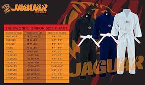 Image result for Utf Jaguar Tkd