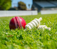 Image result for Chudleigh Sports Centre