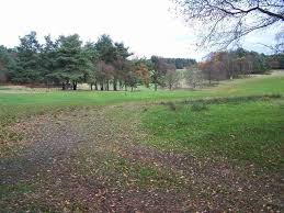 Image result for Cannock Cc