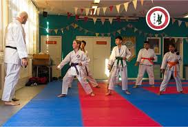 Image result for Twyford Higashi Karate Club