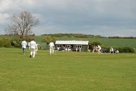 Image result for Newton Cricket Club