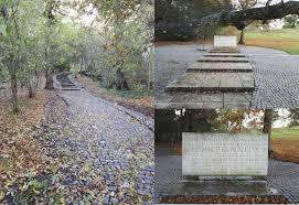 Image result for Runnymede Angling Association