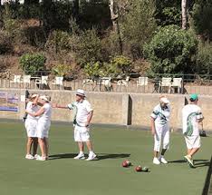 Image result for Nypro Bowls Club