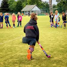 Image result for Sudbury Hockey Club