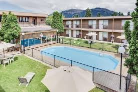 Image result for Enderby Swimming Club