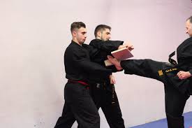 Image result for INTERNATIONAL HAPKIDO TAMWORTH