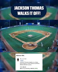 Image result for World Groundball Association