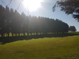 Image result for Worlebury Golf Club