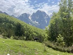 Image result for vallorbe tehron