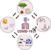 Attēlu rezultāti vaicājumam “pollen corona”