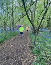 Image result for Finch Coasters Running Club