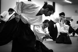 Image result for Sandokai Karate