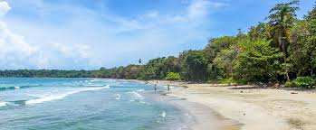 Image result for cahuita costa rica