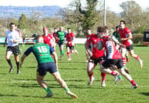 Image result for Haslemere Community Rugby Club