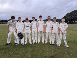 Image result for Glastonbury Cricket Club