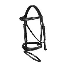 Image result for scheuklappen