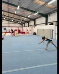 Image result for Pinewood Gymnastics Club
