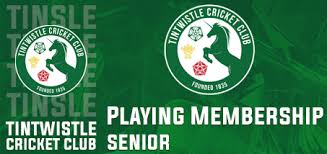 Image result for Tintwistle Cricket Club