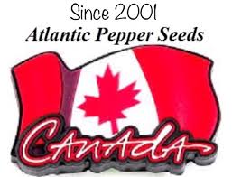 Afbeeldingsresultaat voor numex chimayo hot pepper