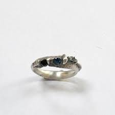 Image result for Sapphire Acro