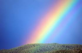 Znalezione obrazy dla zapytania rainbow