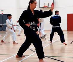 Image result for Exeter Taido Club